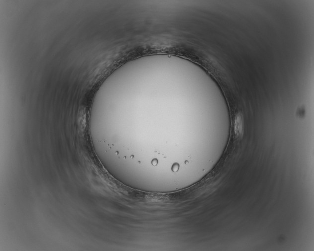 X0000116671299200912291650