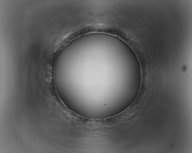 X0000116671301200912291650