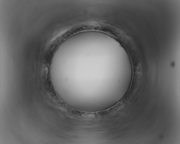 X0000116671302200912291650