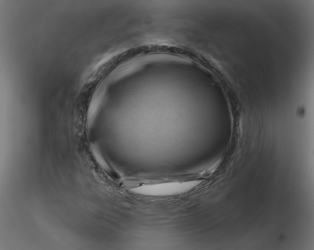 X0000116671303200912291650