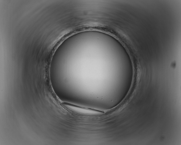 X0000116671305200912291650