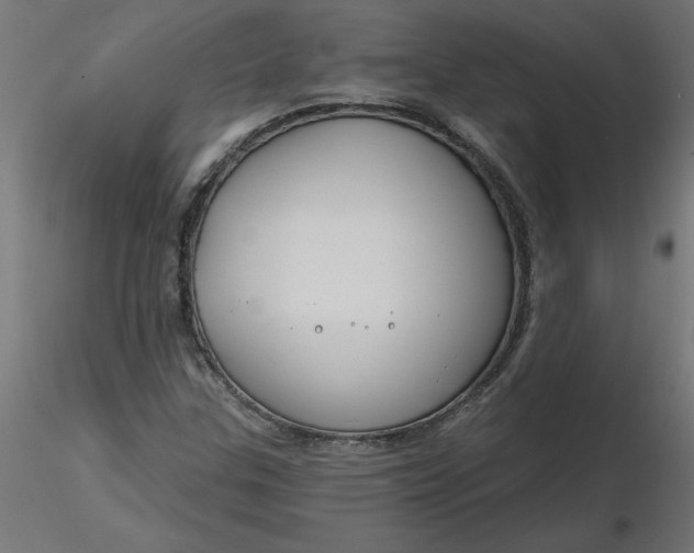 X0000116671307200912291650