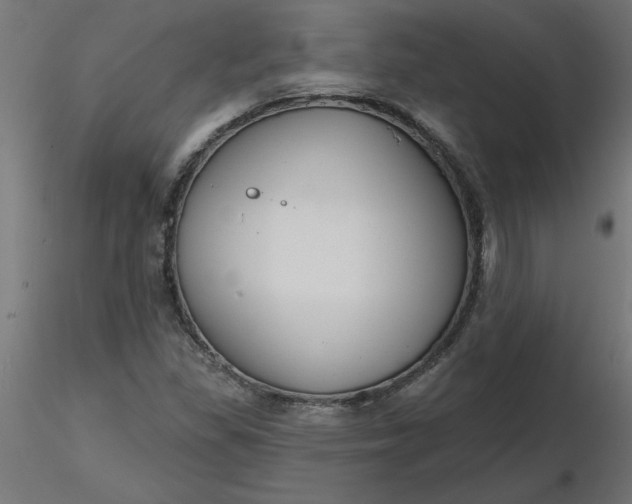 X0000116671309200912291650