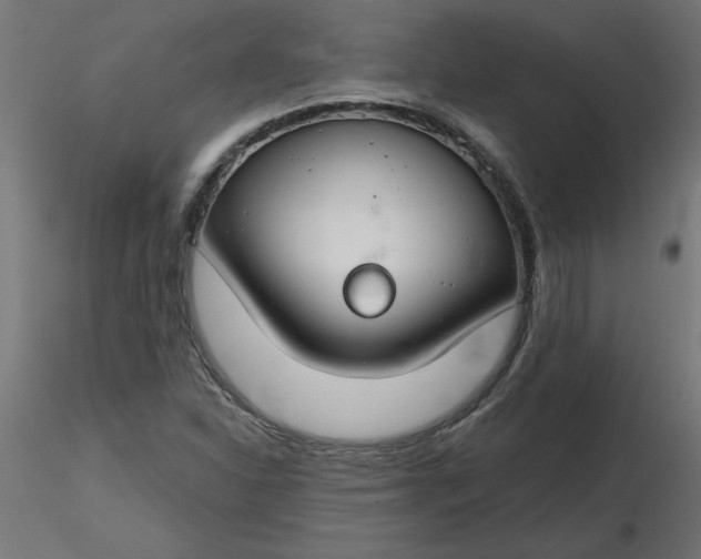 X0000116671310200912291650