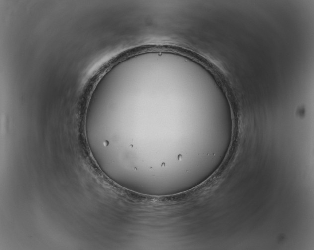 X0000116671311200912291650