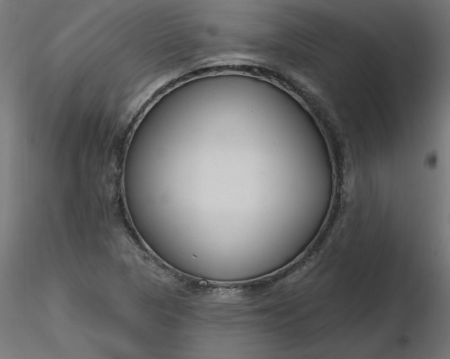 X0000116671313200912291650