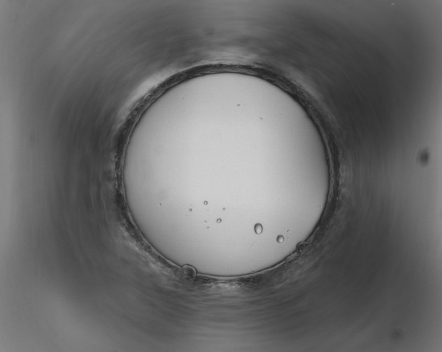 X0000116671315200912291650