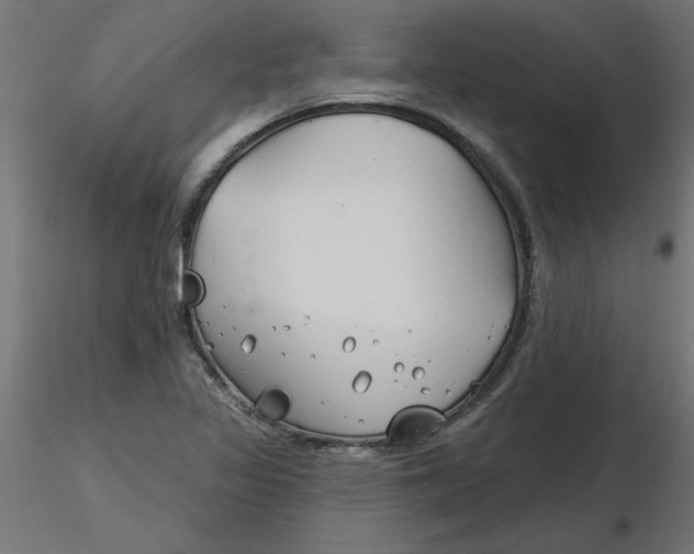 X0000116671317200912291650