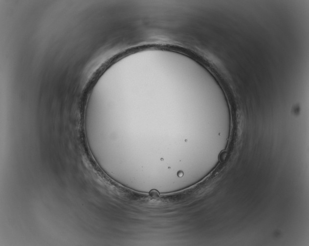 X0000116671318200912291650