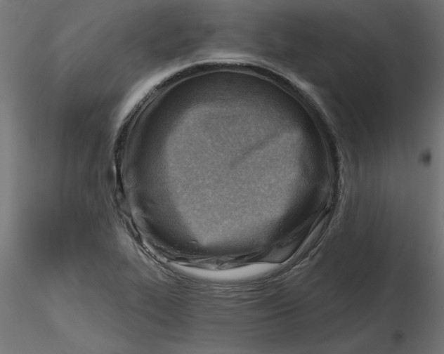 X0000116671319200912291650