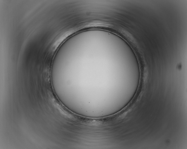 X0000116671321200912291650