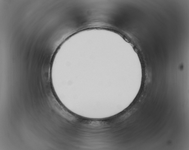 X0000116671322200912291650