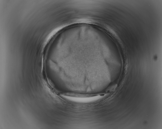 X0000116671323200912291650