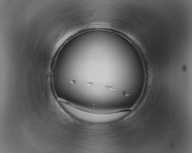 X0000116671325200912291650