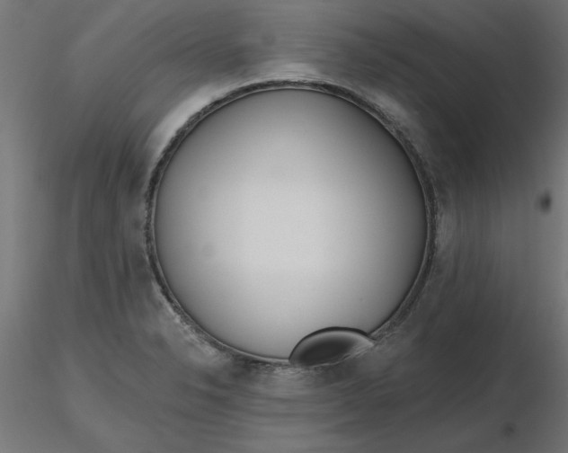 X0000116671326200912291650