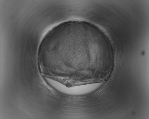 X0000116671327200912291650