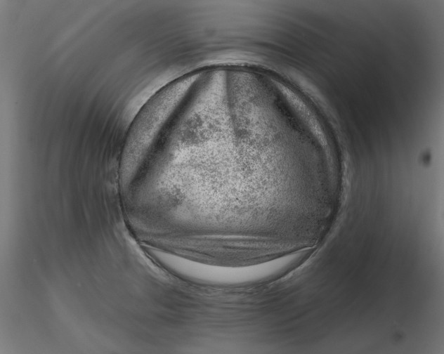 X0000116671329200912291650