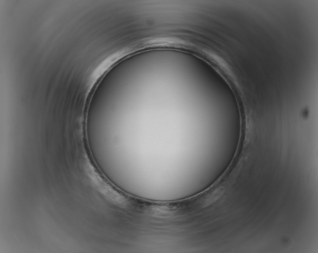 X0000116671330200912291650