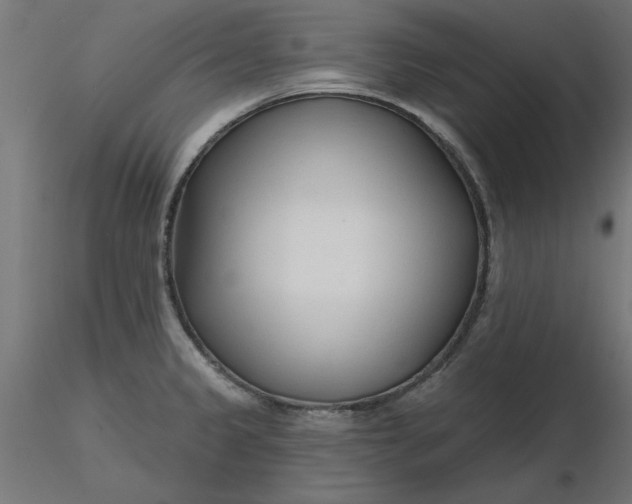 X0000116671333200912291650