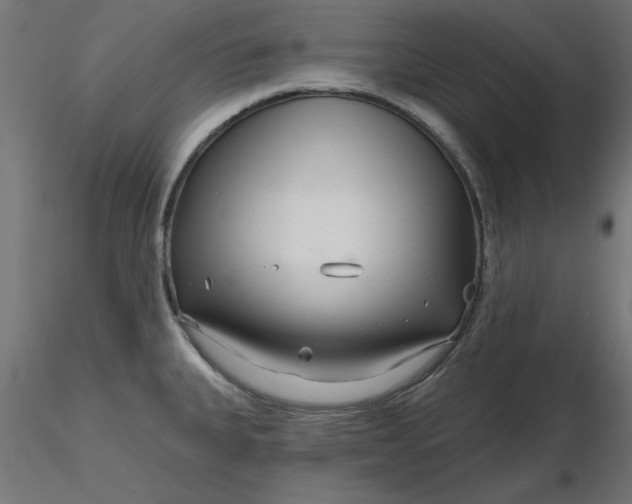 X0000116671335200912291650