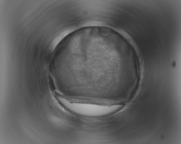 X0000116671337200912291650