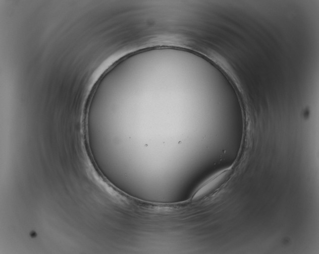 X0000116671339200912291650