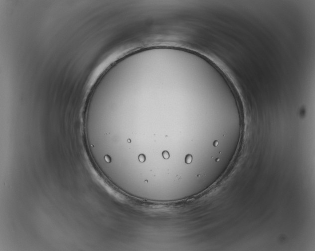 X0000116671341200912291650