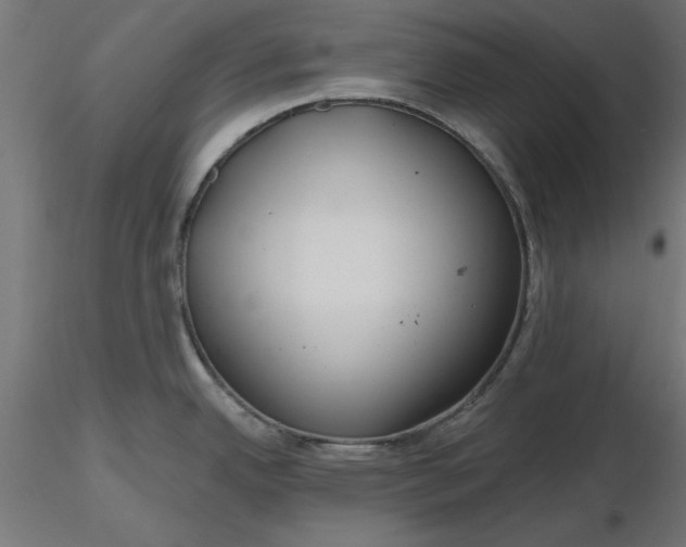 X0000116671342200912291650