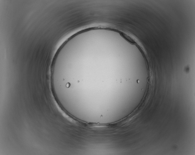 X0000116671343200912291650