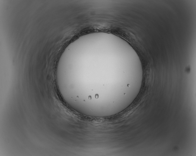 X0000116671345200912291650