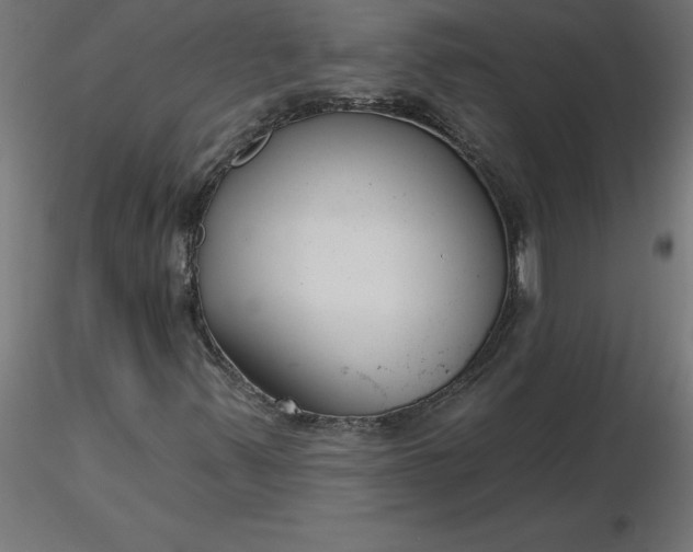 X0000116671347200912291650