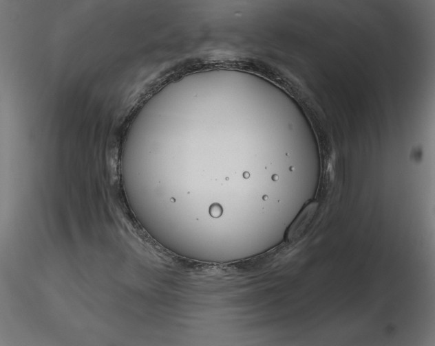 X0000116671348200912291650