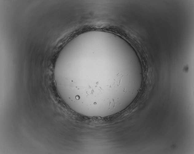 X0000116671349200912291650