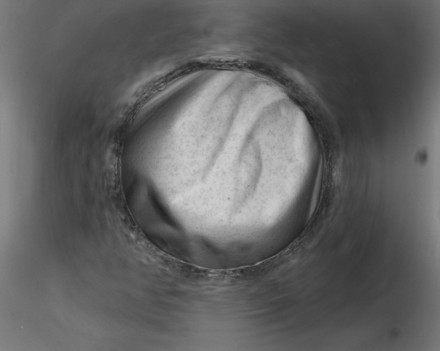 X0000116671350200912291650