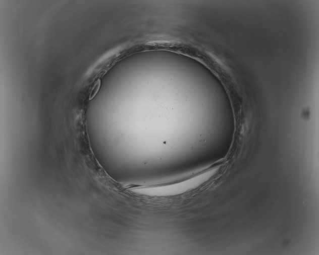 X0000116671351200912291650