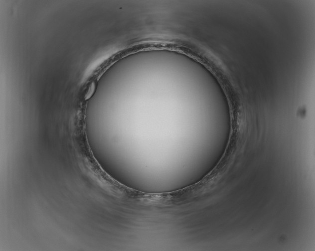 X0000116671352200912291650