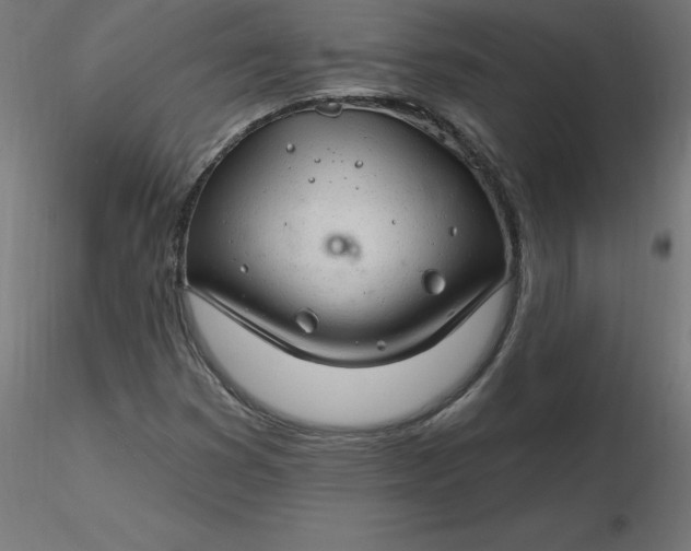 X0000116671353200912291650