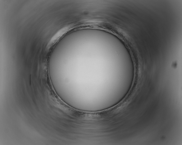 X0000116671354200912291649