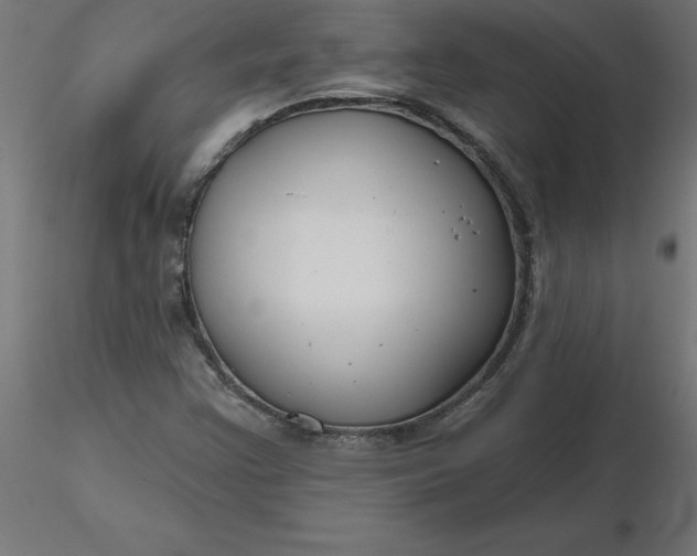 X0000116671355200912291649