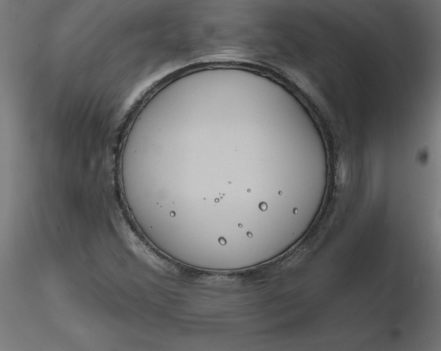 X0000116671356200912291649