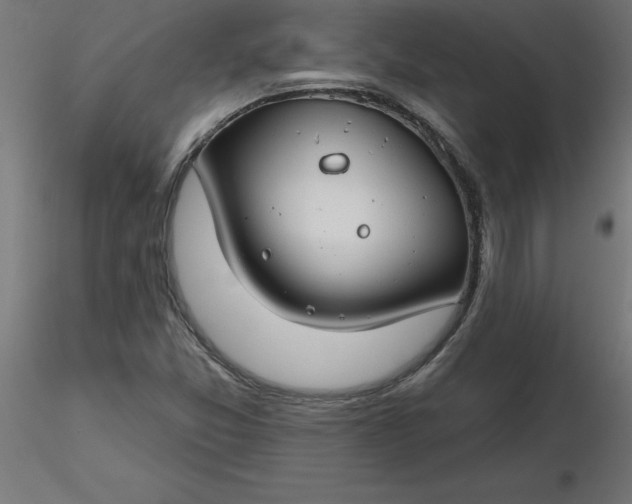 X0000116671357200912291649