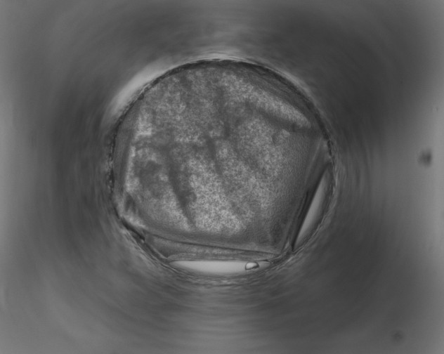 X0000116671359200912291649