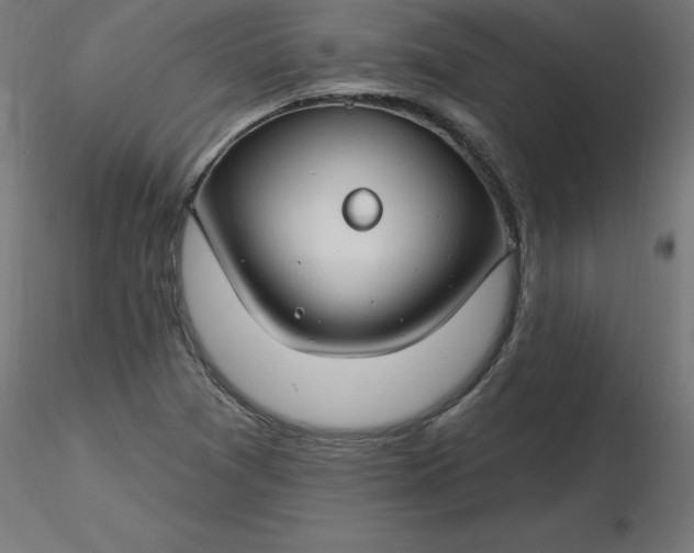 X0000116671361200912291649