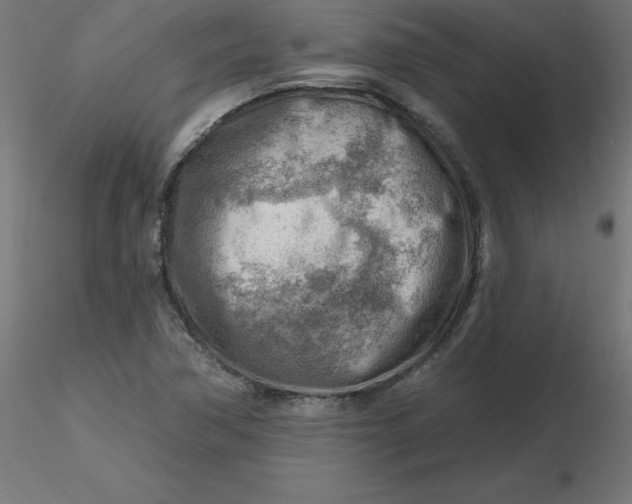 X0000116671362200912291649