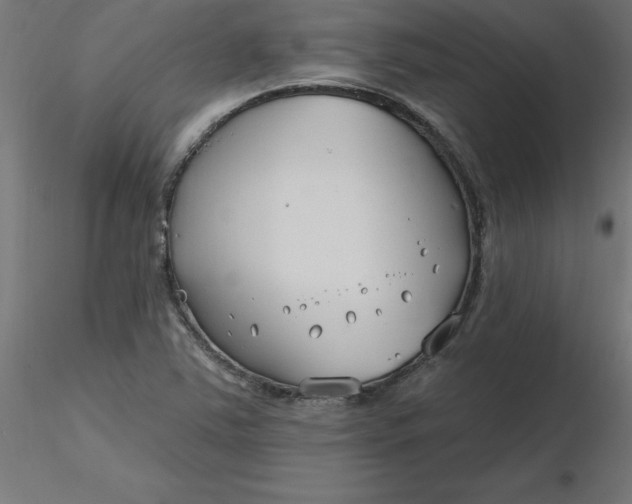 X0000116671363200912291649