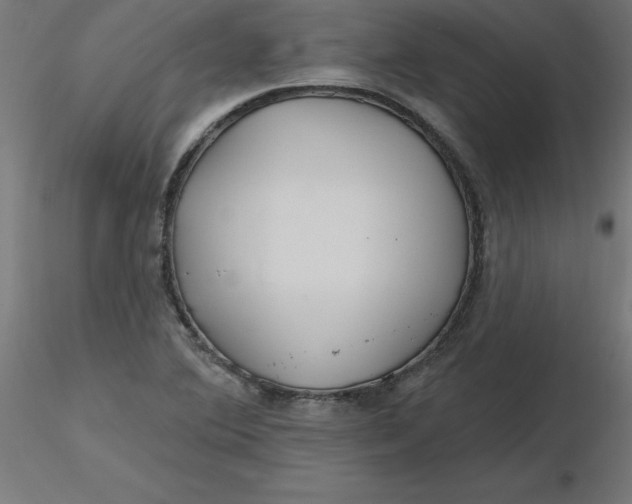 X0000116671364200912291649