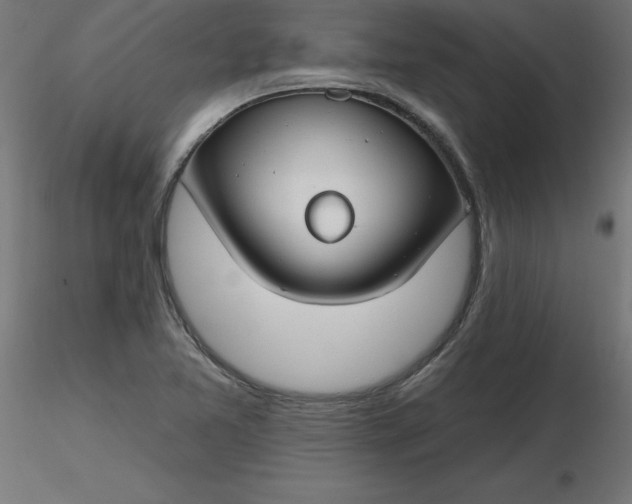 X0000116671365200912291649