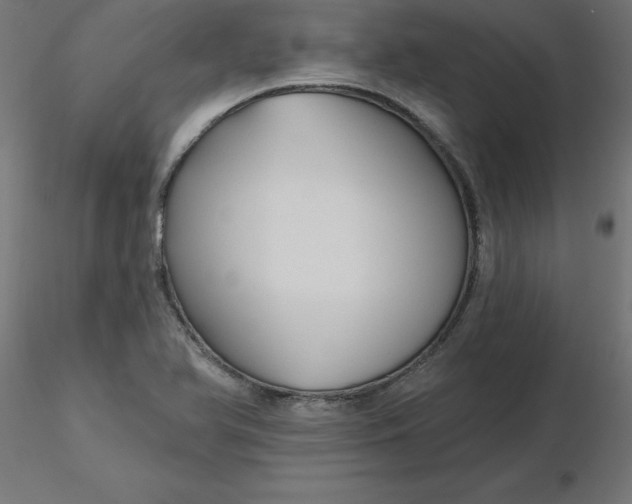 X0000116671366200912291649