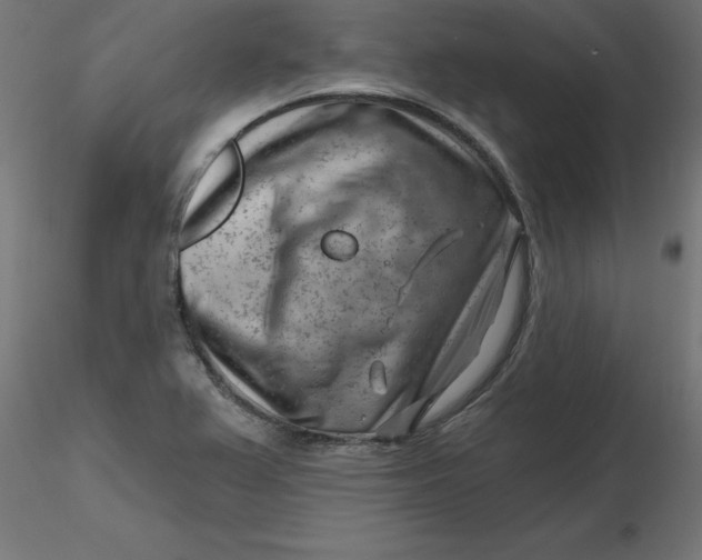 X0000116671367200912291649