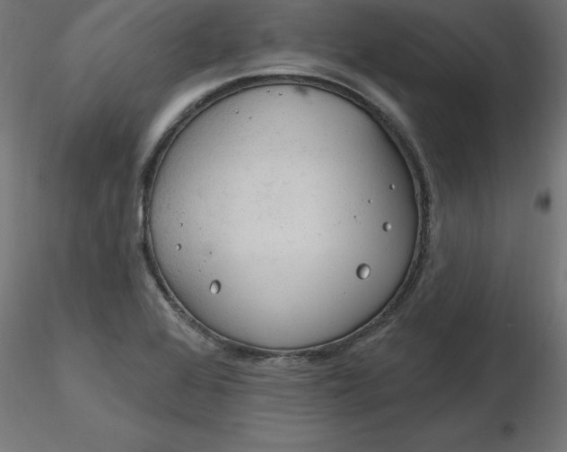 X0000116671368200912291649